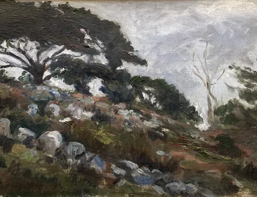 Paysage rocheux et boisé 